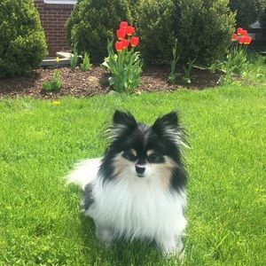 Meet your Posher, Kass